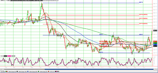 Wheat, What Now?