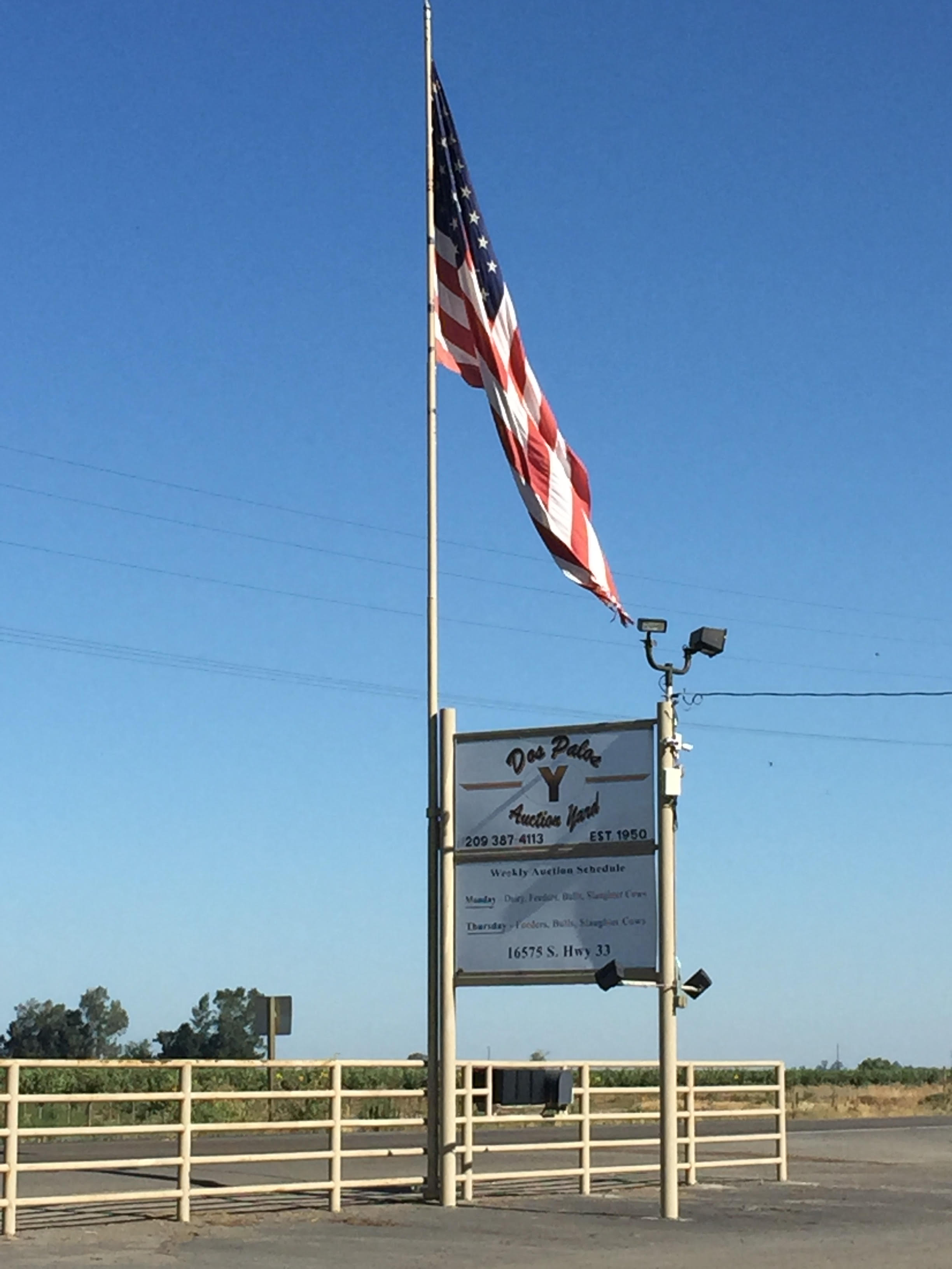 Home Dos Palos Y Auction