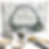 Thumbnail: Front view of Fossil Kit packaging with contents laid out