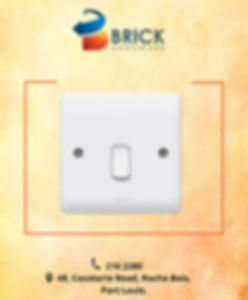 Switch 1Gang 1Way 10A [Legrand REF: 730000]