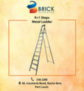 Metal Ladder 9+1 Steps