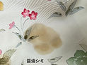 醤油シミ_edited.jpg