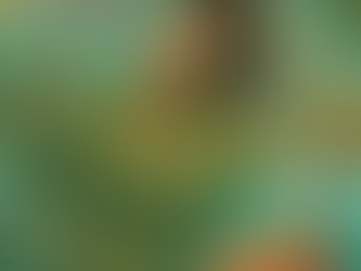 ¡Taylor Swift Domina el Mundo! Lidera el Top 100 Global de Spotify por Tercera Semana Consecutiva