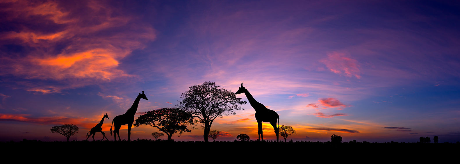 Energizing Africa 
