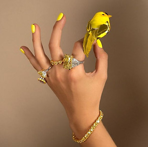 SD_Completely Canary Campaign_Multiple_Canary.jpeg
