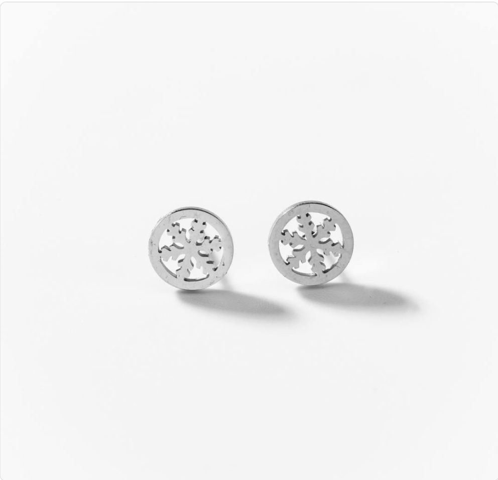 Boucles d'oreilles cercles flocons de neige en acier316. BIGOA022