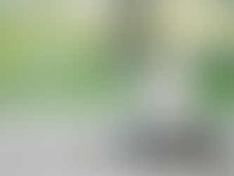 MBS Highway Daily Updates 03/03/2023