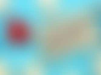 Key Factors that Influence Home Value