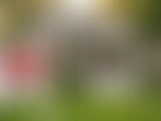 5 Unexpected Fees You'll Encounter When Buying or Selling Your Home