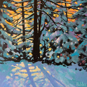 Whistler Winter Shadows