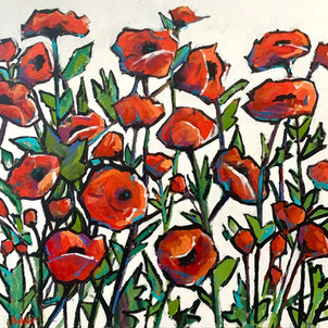 Poppies!