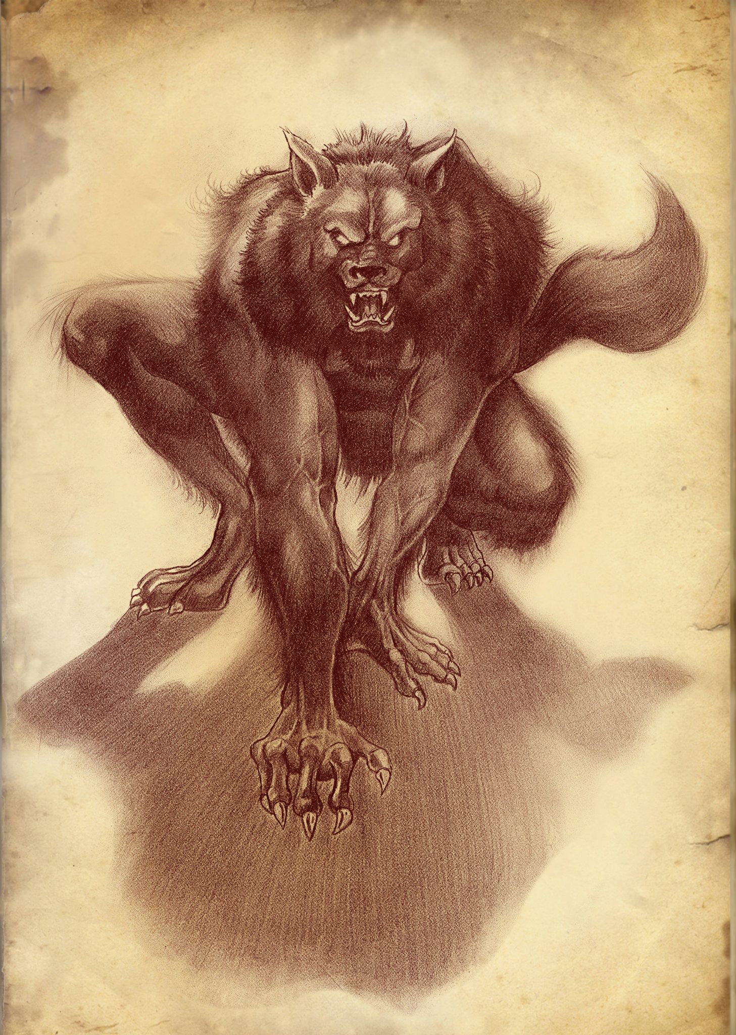 THE WOLF