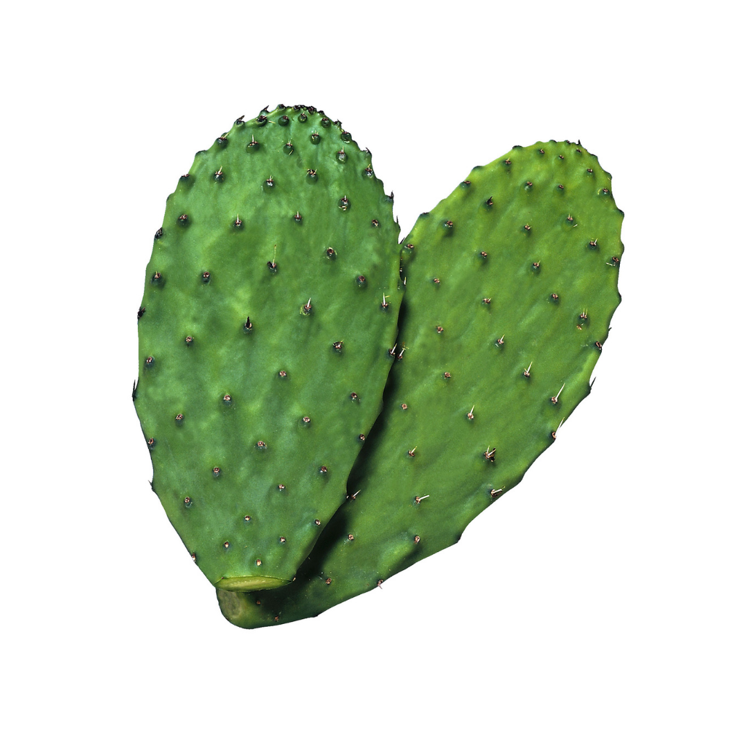 Nopales por kilo