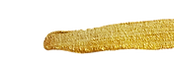Gold-paint-brush-strokes_edited.png