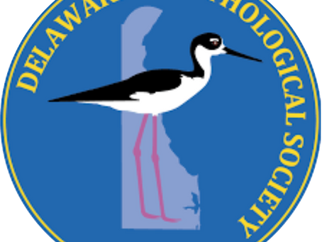 DOS Bird-A-Thon May 2-10