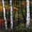 Thumbnail: Birch Forest in Cherry