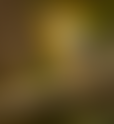 McCabe Preserve (TNC) 7:00AM