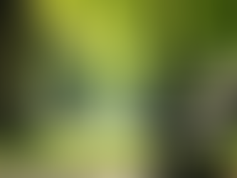 The Importance of Rest and Recreation for Health Plus Affordable Weekend Activities for the Working Class