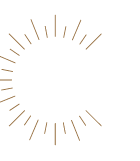 Brown Sun Line Burst Minimalist Coaching Logo.png