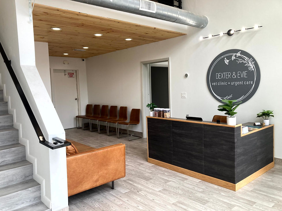 Why Commercial Plans Matter More Than You Think