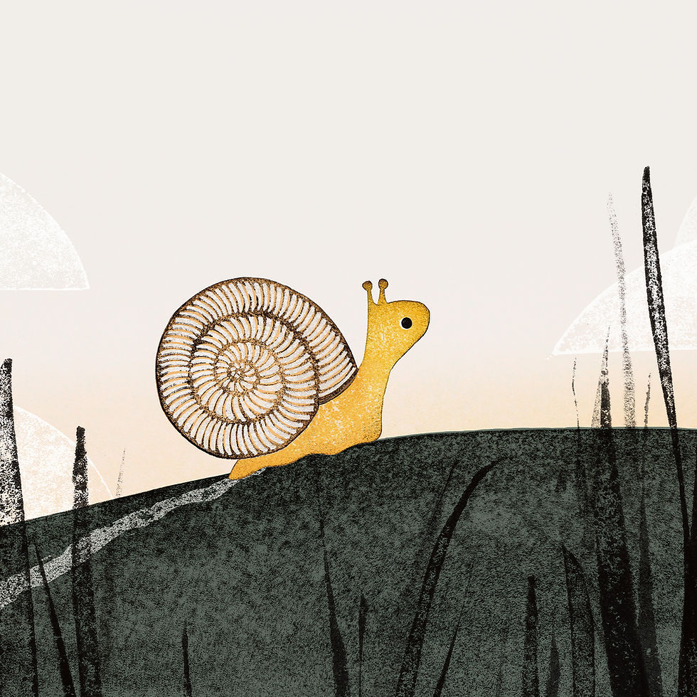Thumbnail: The Snail