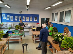 Clubabend Villmergen "Laubbäume Blattschnitt und Triebschnitt"