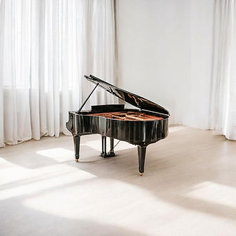 Wedding Piano 1 neu.JPG