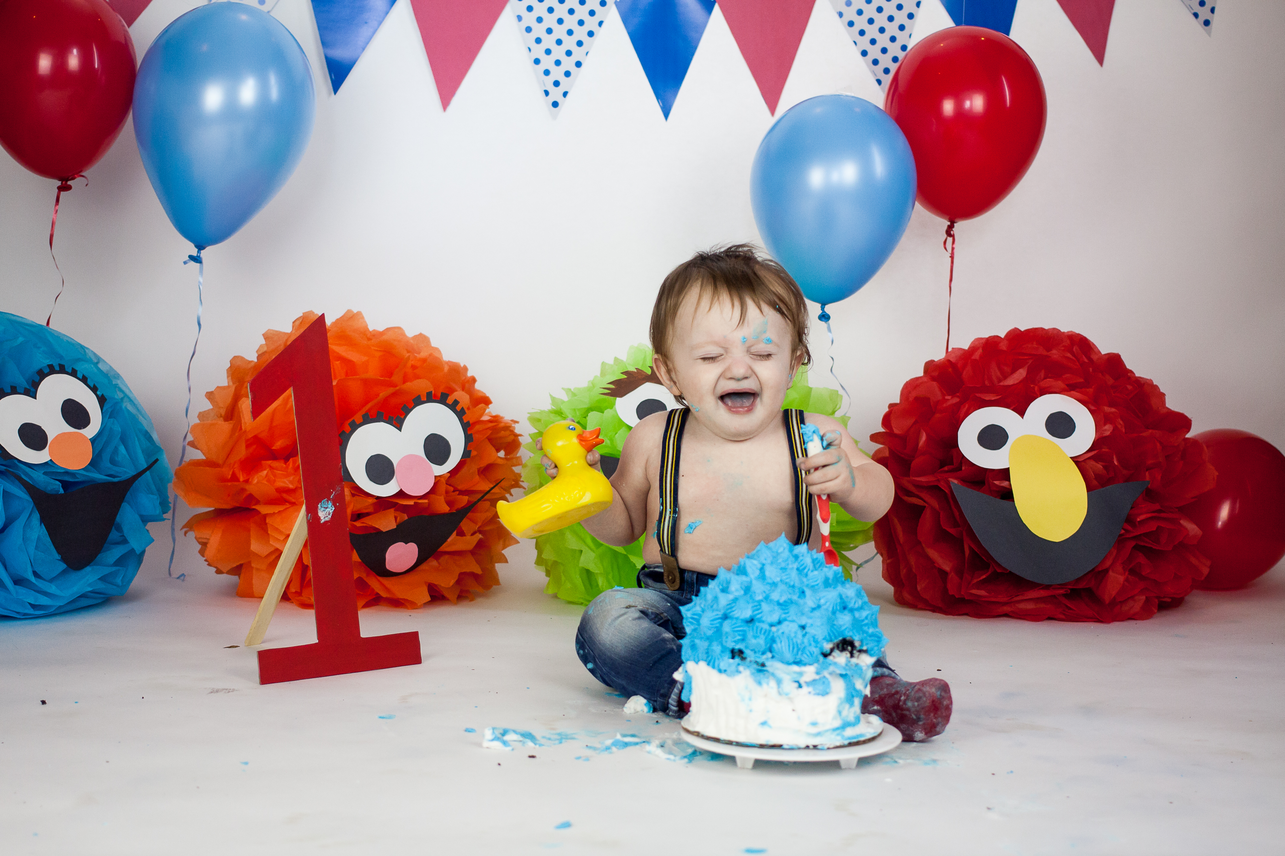 Sesame Street Cake Smash