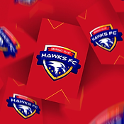 Contact MV Hawks FC Contact MV Hawks FC