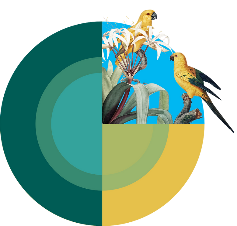 Zwei gelbe Papgeien sitzen plaudernd auf einem Zweig