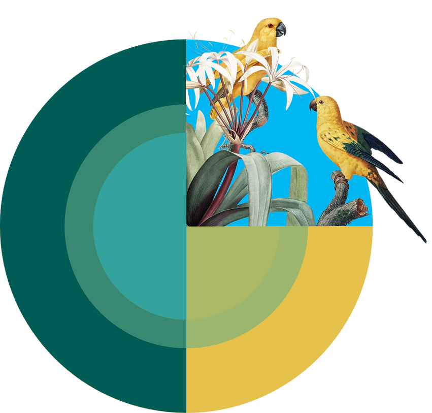 Zwei gelbe Papgeien sitzen plaudernd auf einem Zweig