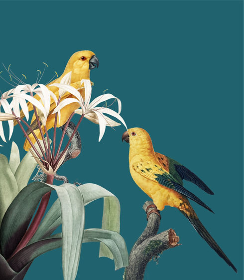 Zwei gelbe Papageien sitzen plaudernd auf einem Zweig