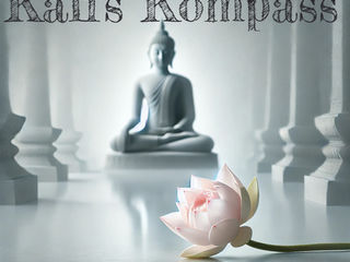 Past Life Lotus: A Journey of Self Love and Compassion