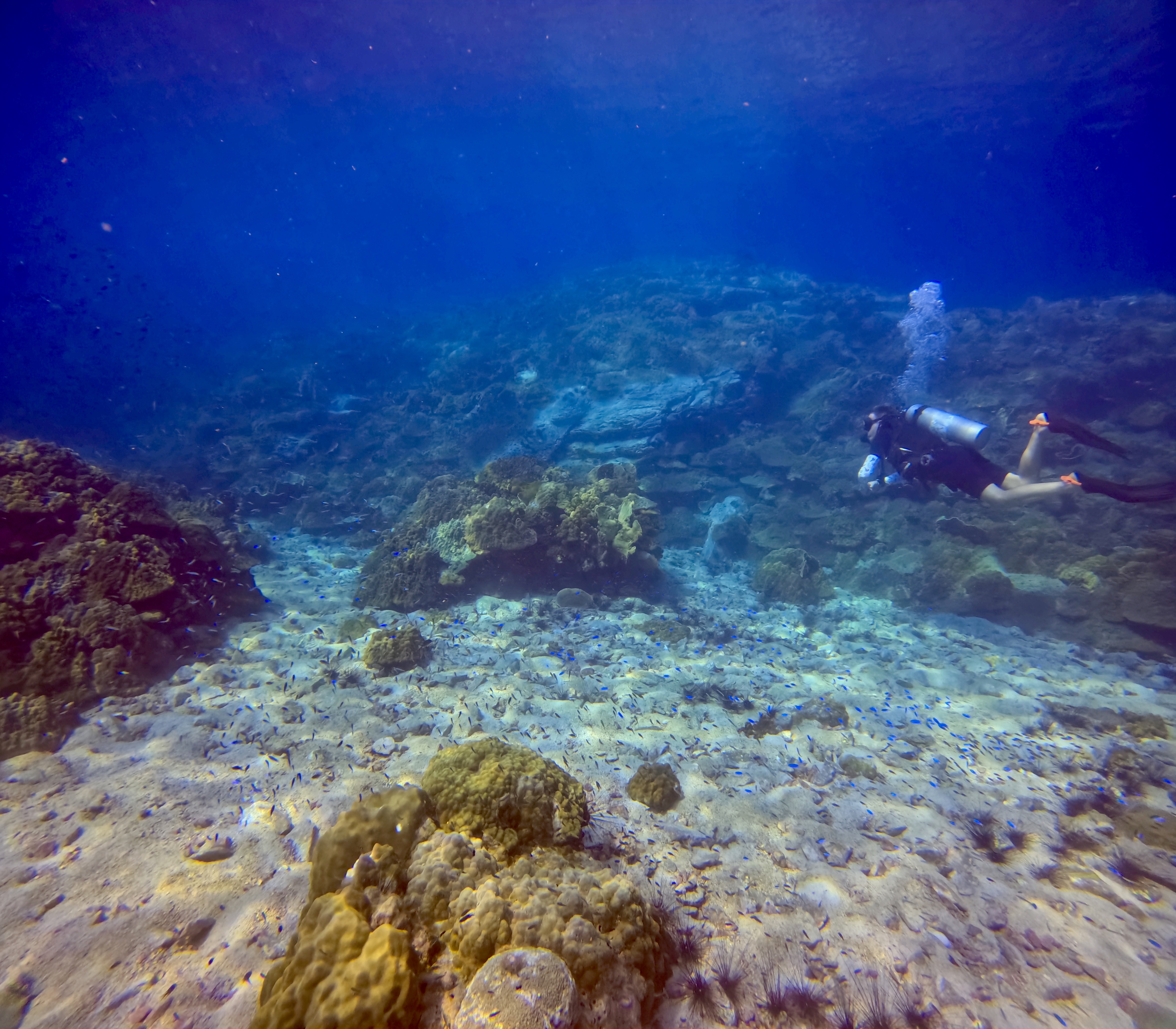 DIVE SITES | Koh Chang Divers