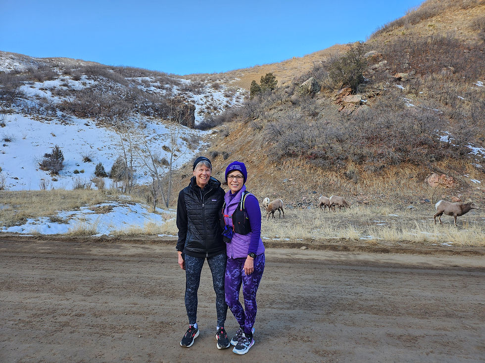 2/22/26 Sylvotherapy (Forest Therapy) Event