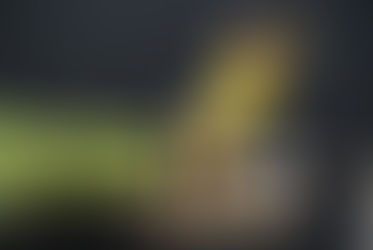 7º BONECOS DE TODO MUNDO REÚNE ARTISTAS DO BRASIL, AMÉRICA LATINA E EUROPA