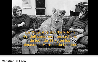 VIDEO 2 CIENCIES.png