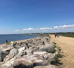 IMG_3192.jpeg