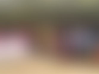 नेहरू युवा केन्द्र, उत्तर पूर्व दिल्ली ने किया खेलकूद प्रतियोगिताओं का आयोजन