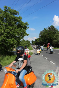IMG_1537