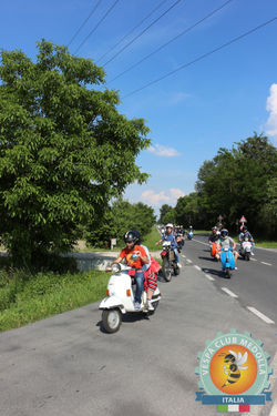 IMG_1584