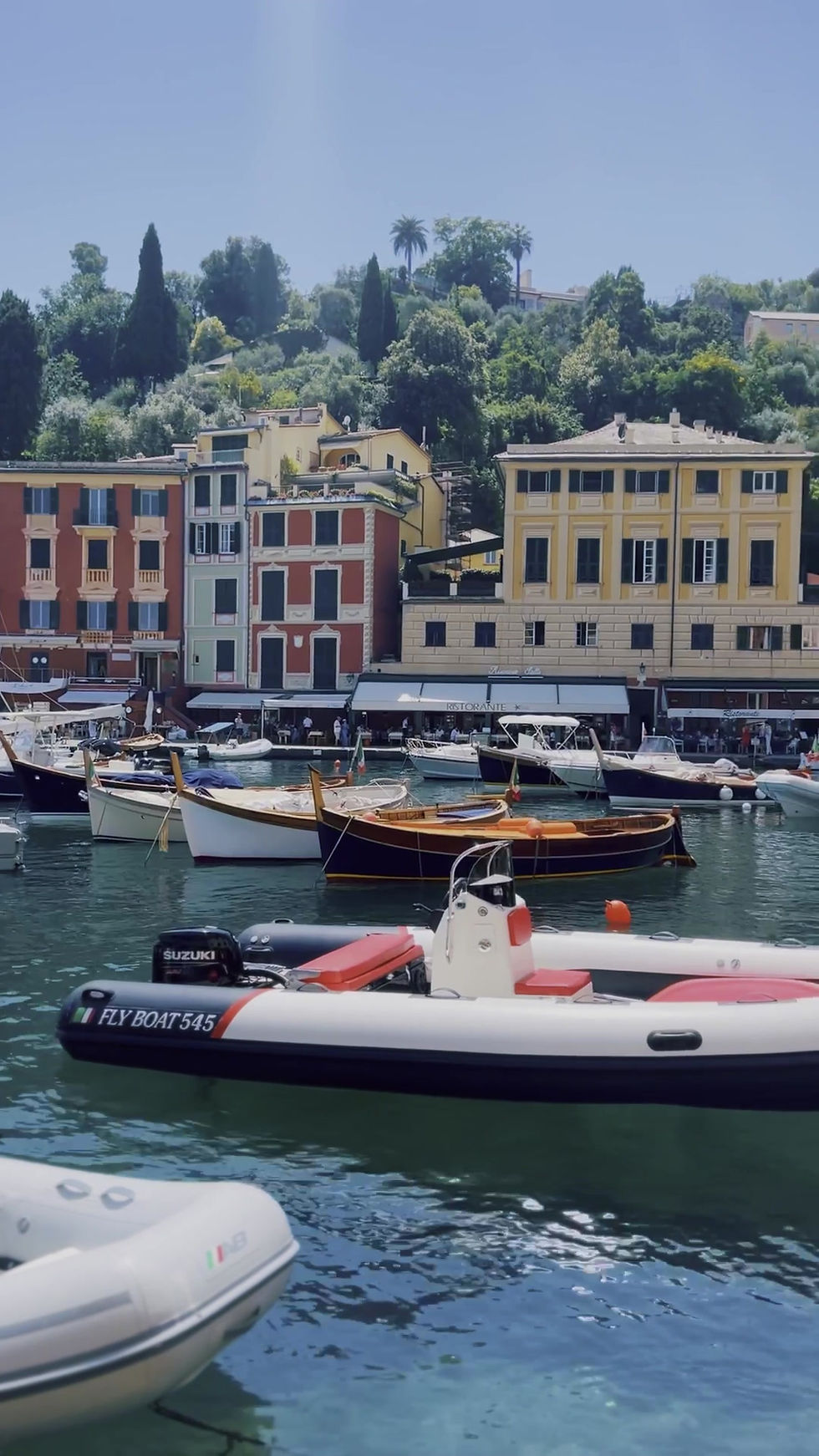 Thumbnail: Portofino Travel Guide