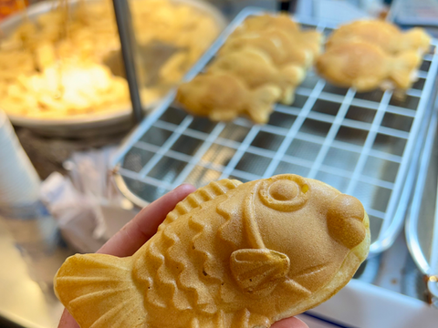 South Korea’s Must-Visit Street Food Market & Food Highlights