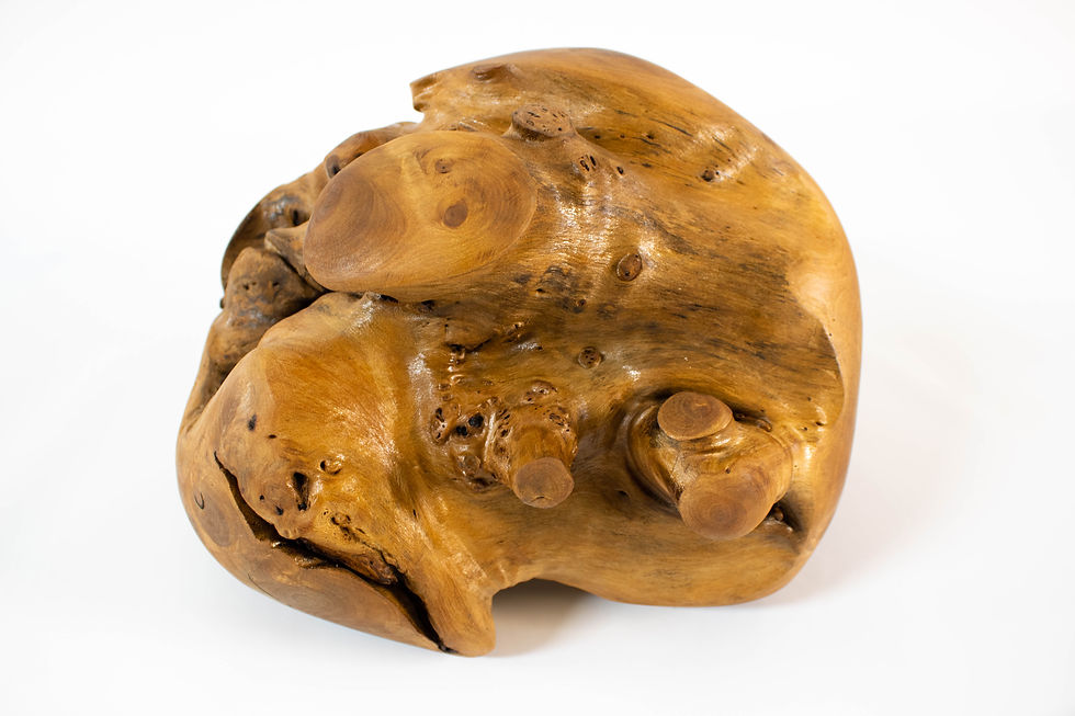 Thumbnail: Root Ball Sculpture "Heart of the Tree"
