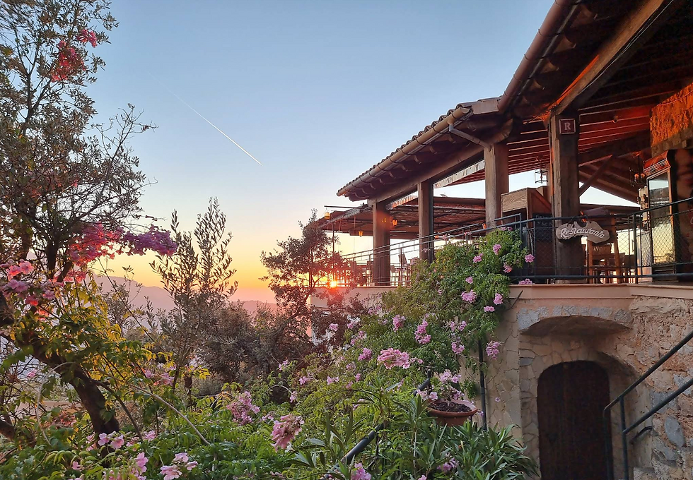 Eye-level view of a vibrant grilled vegetable platter at The Nest