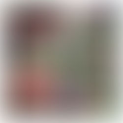 オープン戦報告(サントリーフーズ)