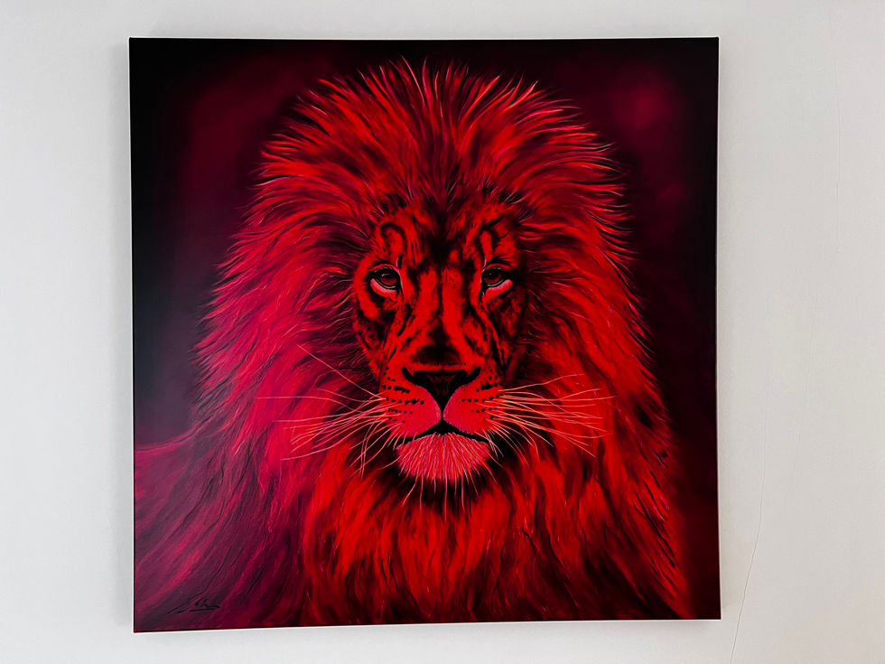 Big Five Lion