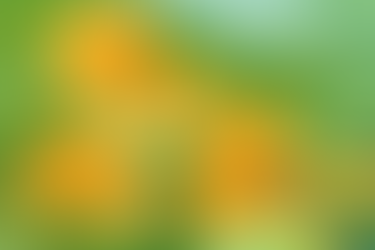 学校ワークから使える一言