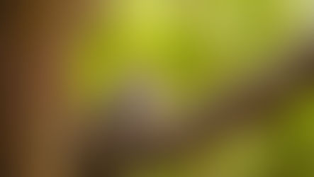 🍂秋の夜長に🍂