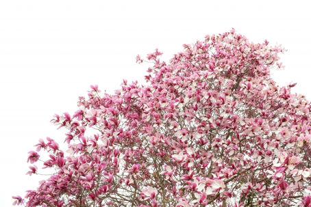 　　　「励ます言葉」英語で